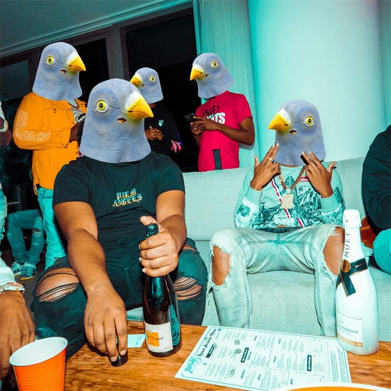 Pigeon Mask Costume Novelty Ha - Skincare Pigeon ulasan dan harga